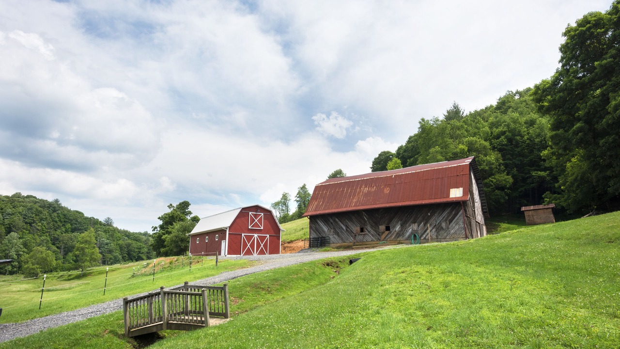 Photo of Others in Boone