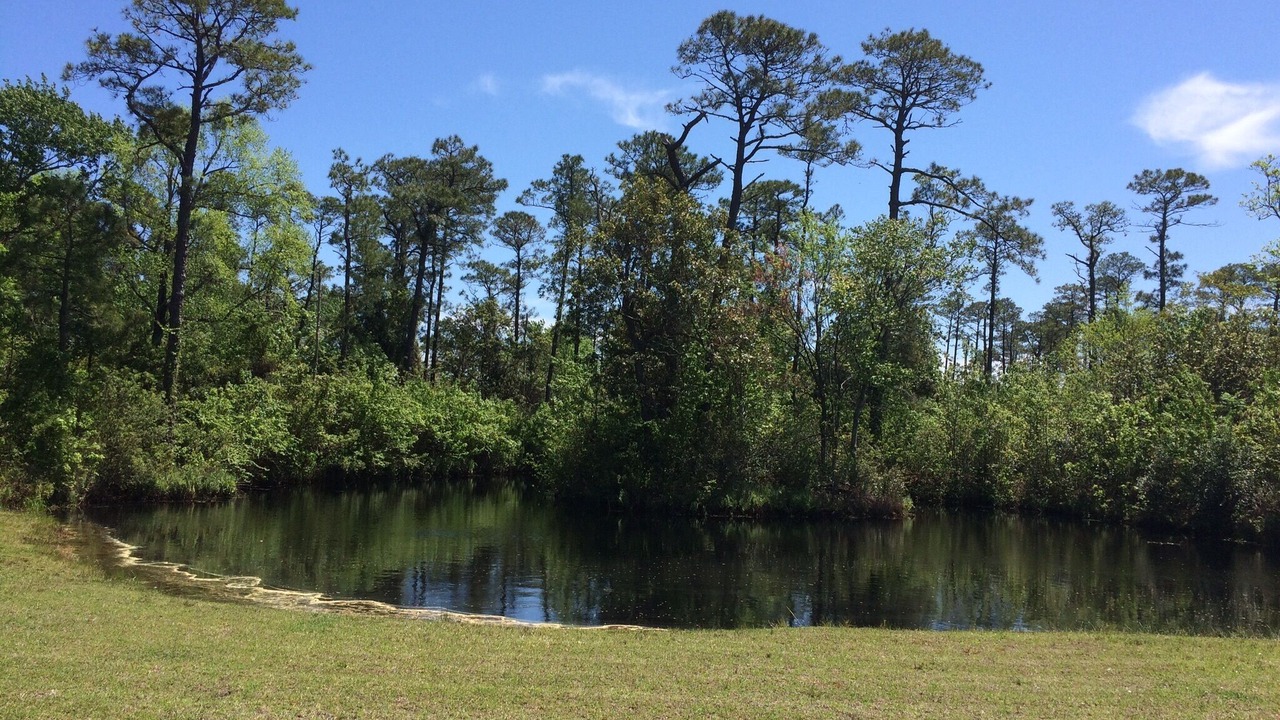 Photo of Outdoor in Cedar Island