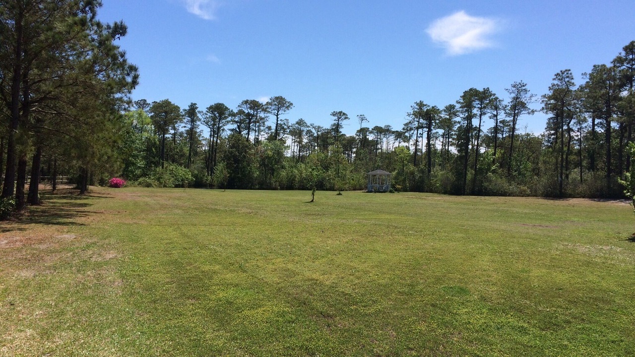 Photo of Outdoor in Cedar Island