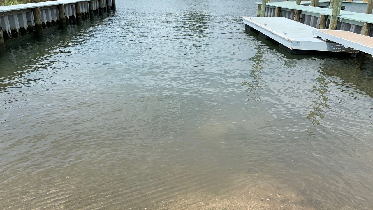 Photo of Others in Core Creek