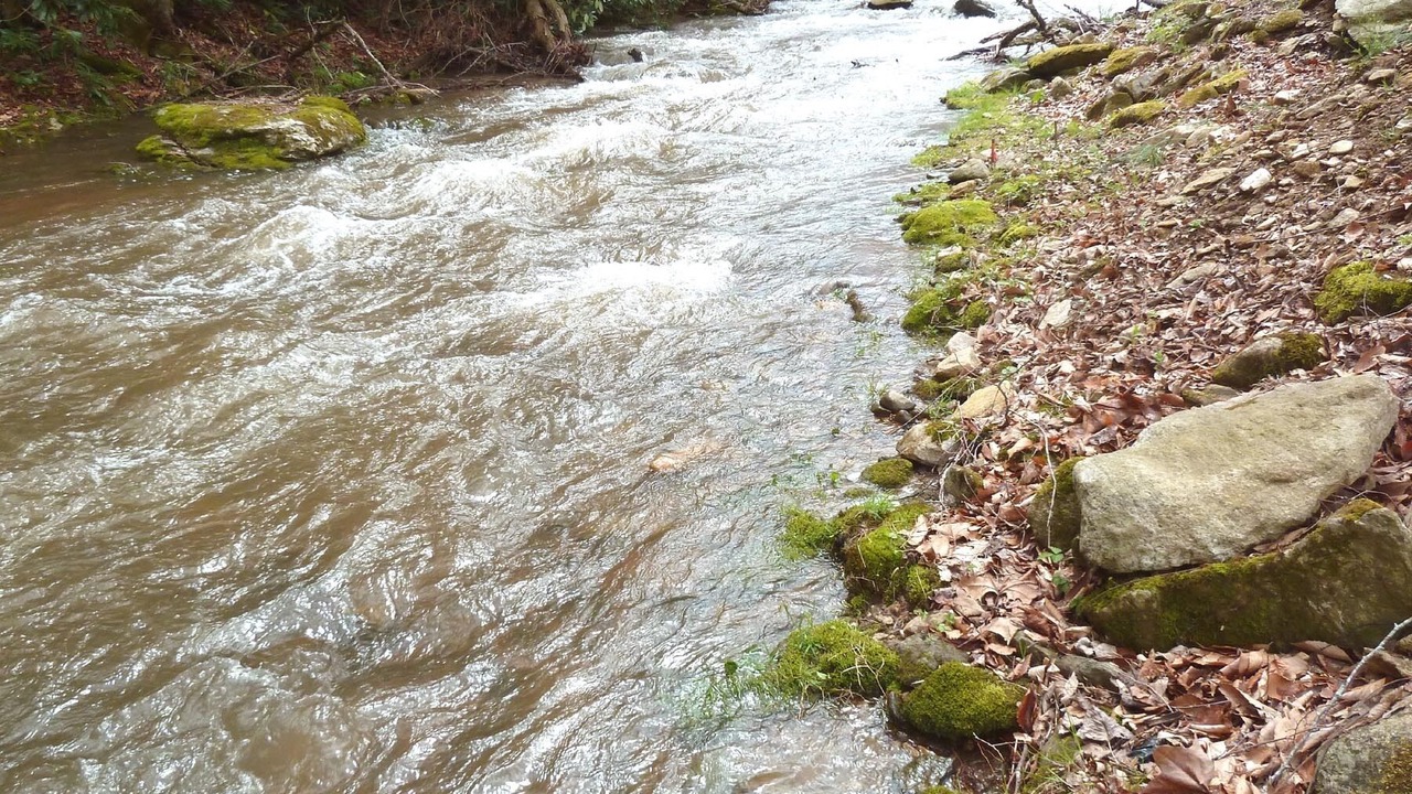 Photo of Others in Hot Springs