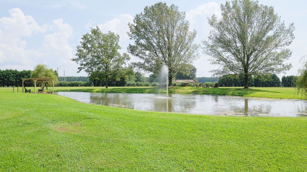 Photo of Outdoor in Edenton