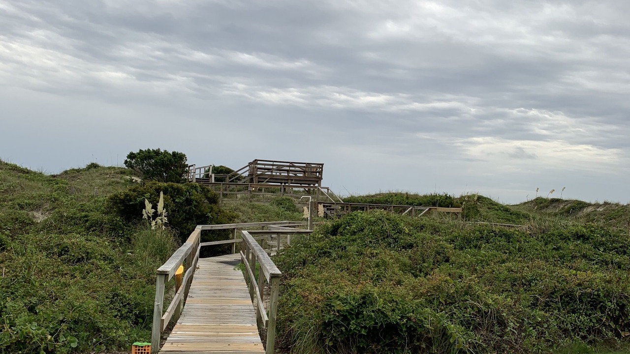 Photo of Others in Morehead City