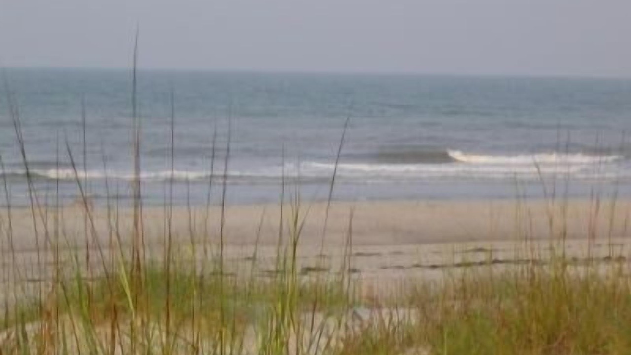 Photo of Others in Morehead City