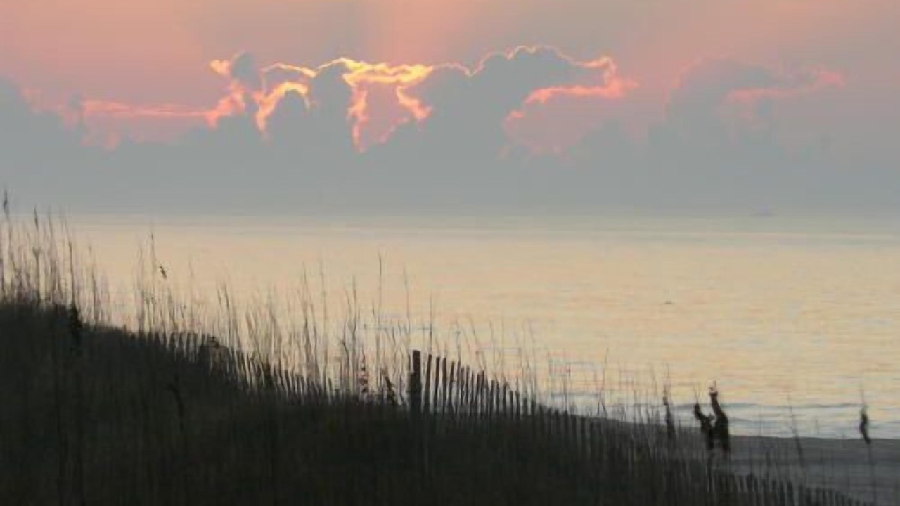Photo of Others in Morehead City