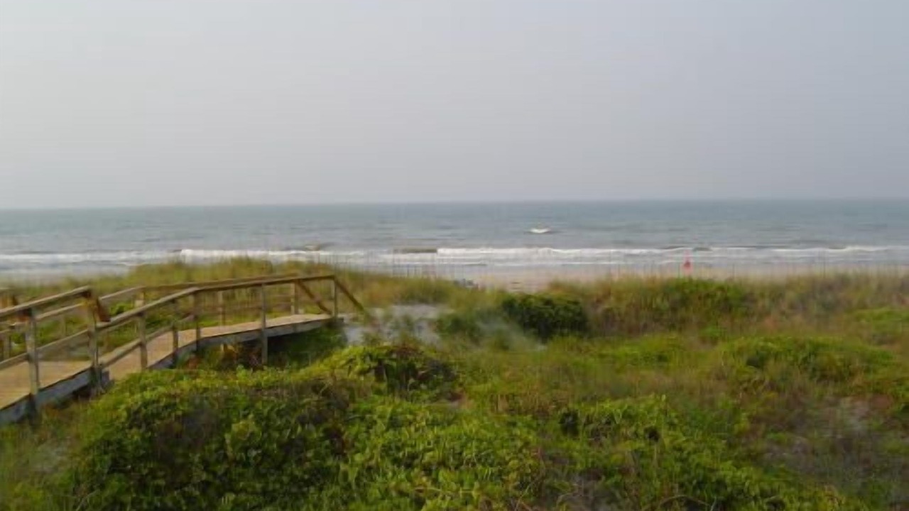 Photo of Others in Morehead City
