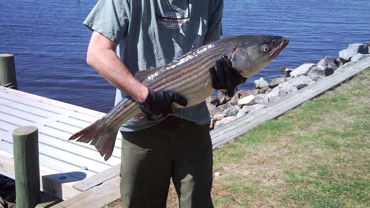Photo of Others in Belhaven