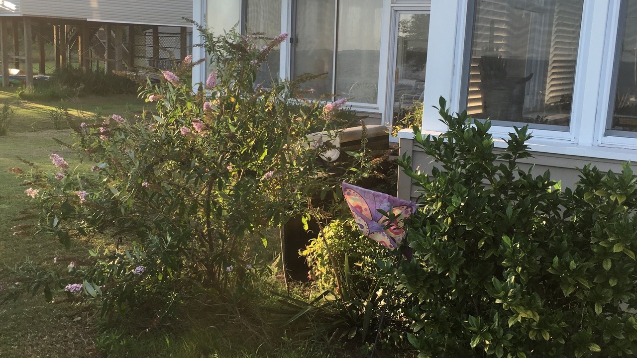 Photo of Outdoor in Belhaven