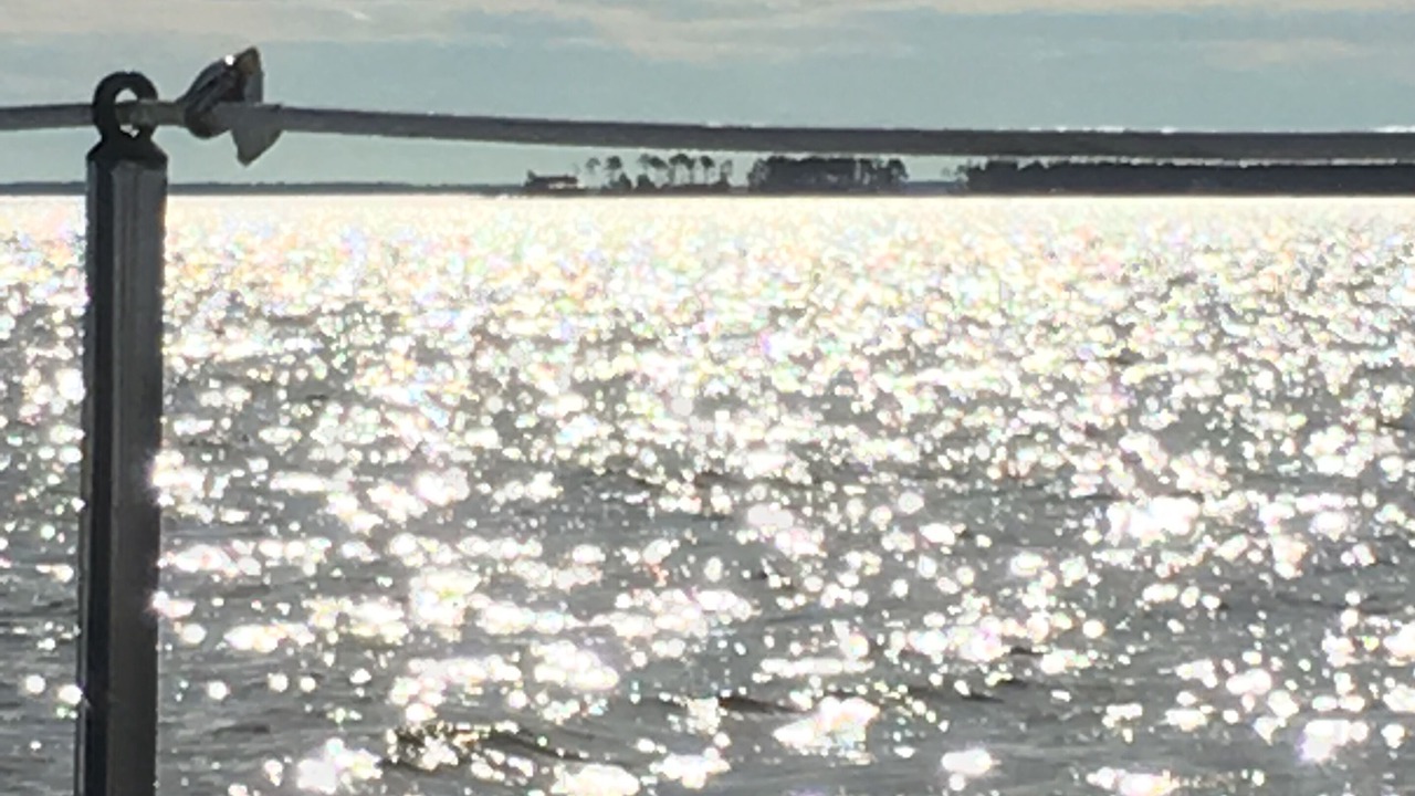 Photo of Outdoor in Belhaven