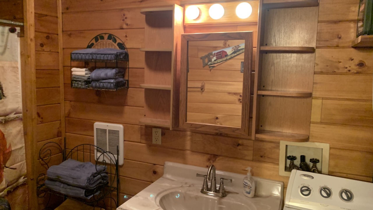 Photo of Bathroom in Lansing