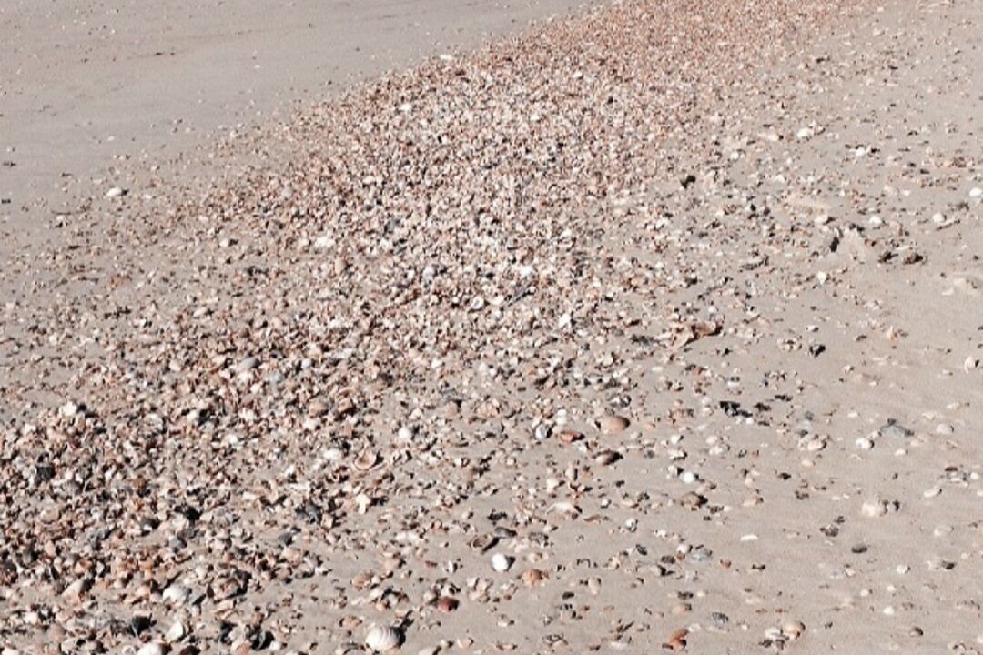 Photo of Others in Hatteras