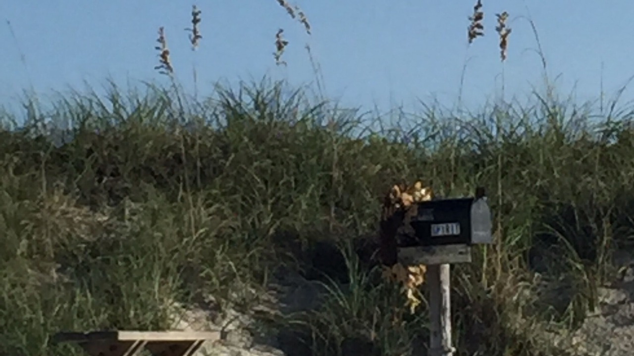 Photo of Others in Sunset Beach