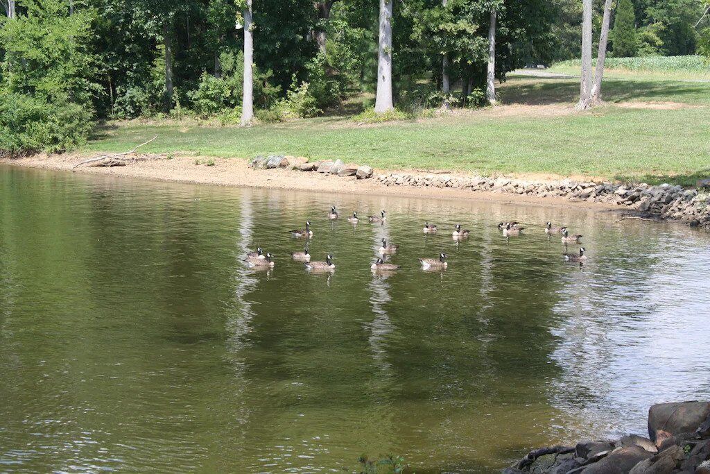 Photo of Outdoor in Southmont