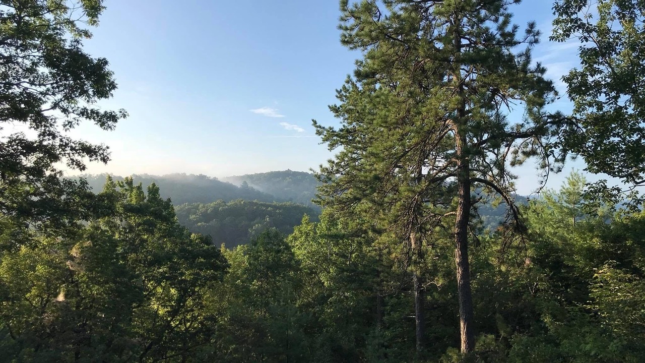 Photo of Outdoor in Brevard