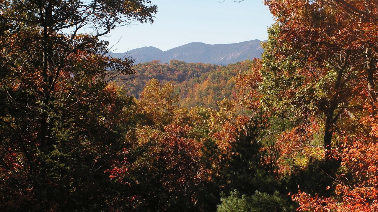 Photo of Outdoor in Spruce Pine