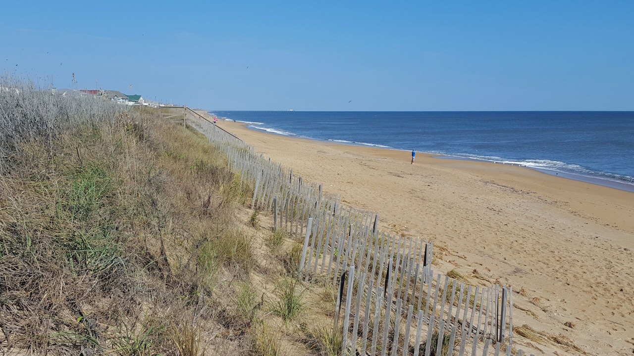 Photo of Others in Southern Shores