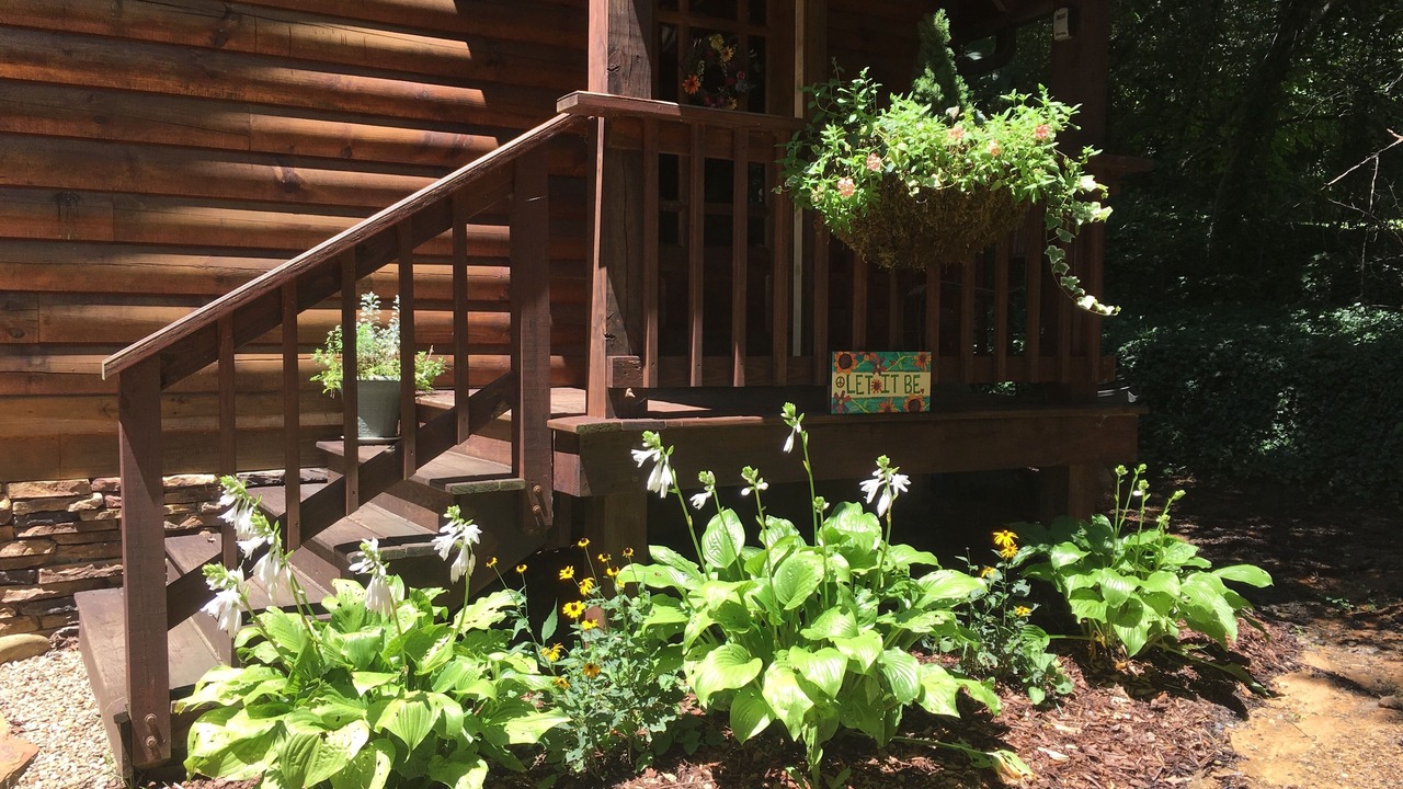Photo of Outdoor in Black Mountain