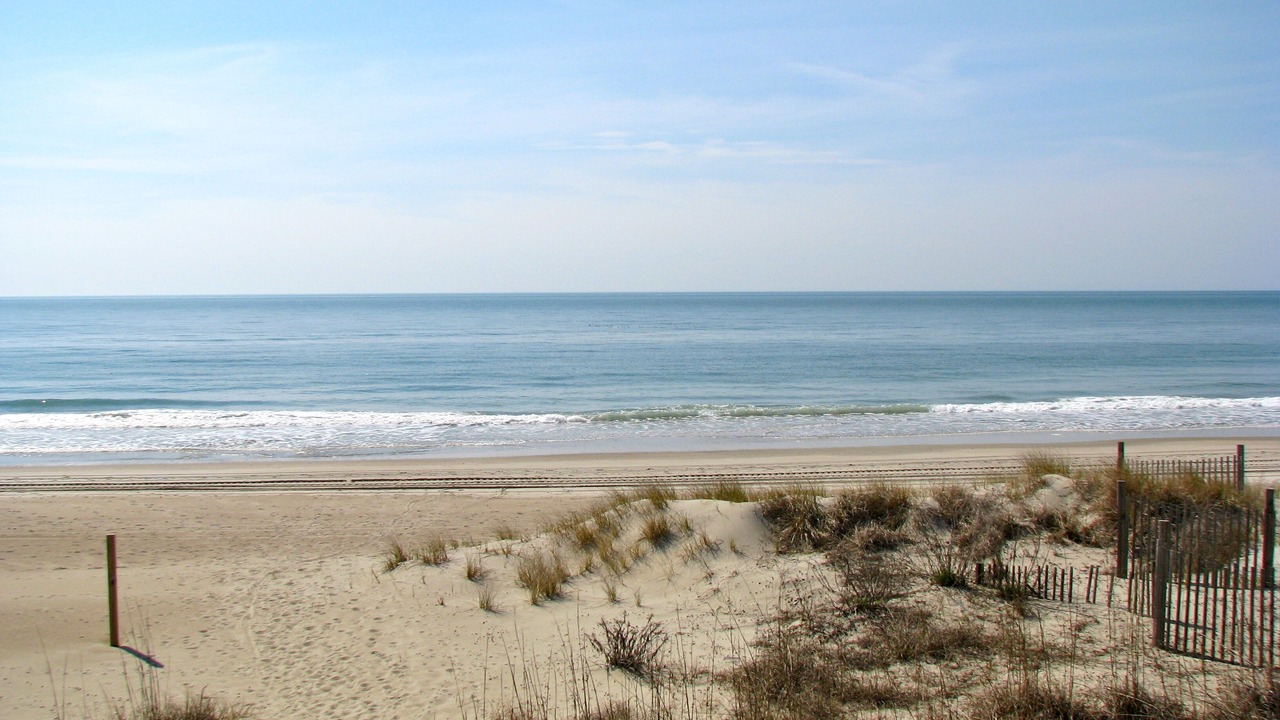 Photo of Others in Emerald Isle