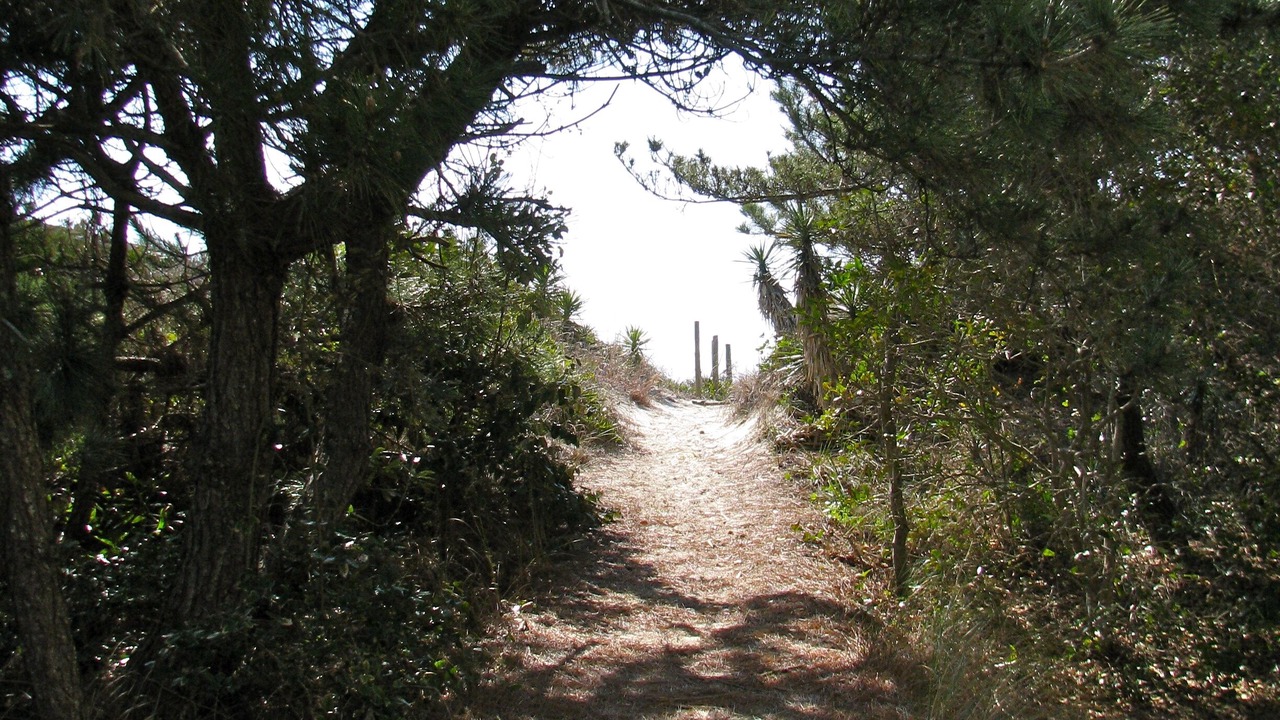 Photo of Outdoor in Emerald Isle