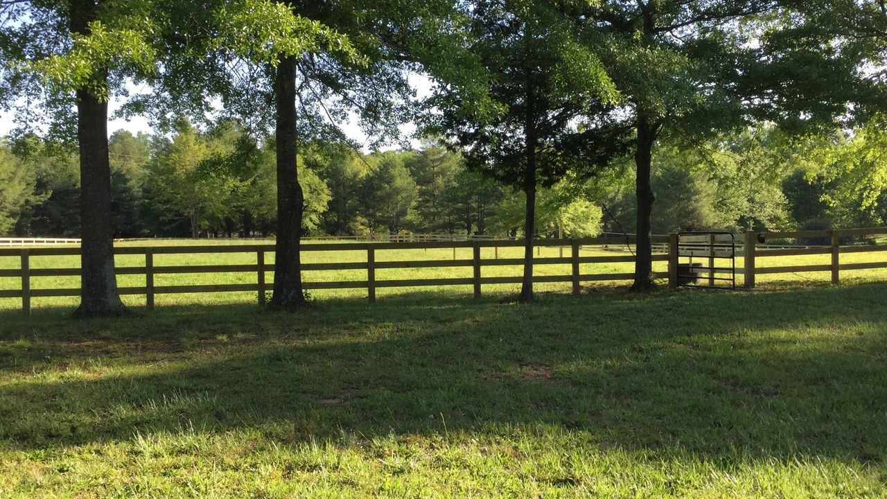 Photo of Others in Tryon