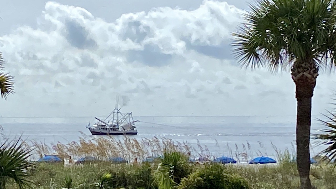 Photo of Others in Palmetto Dunes