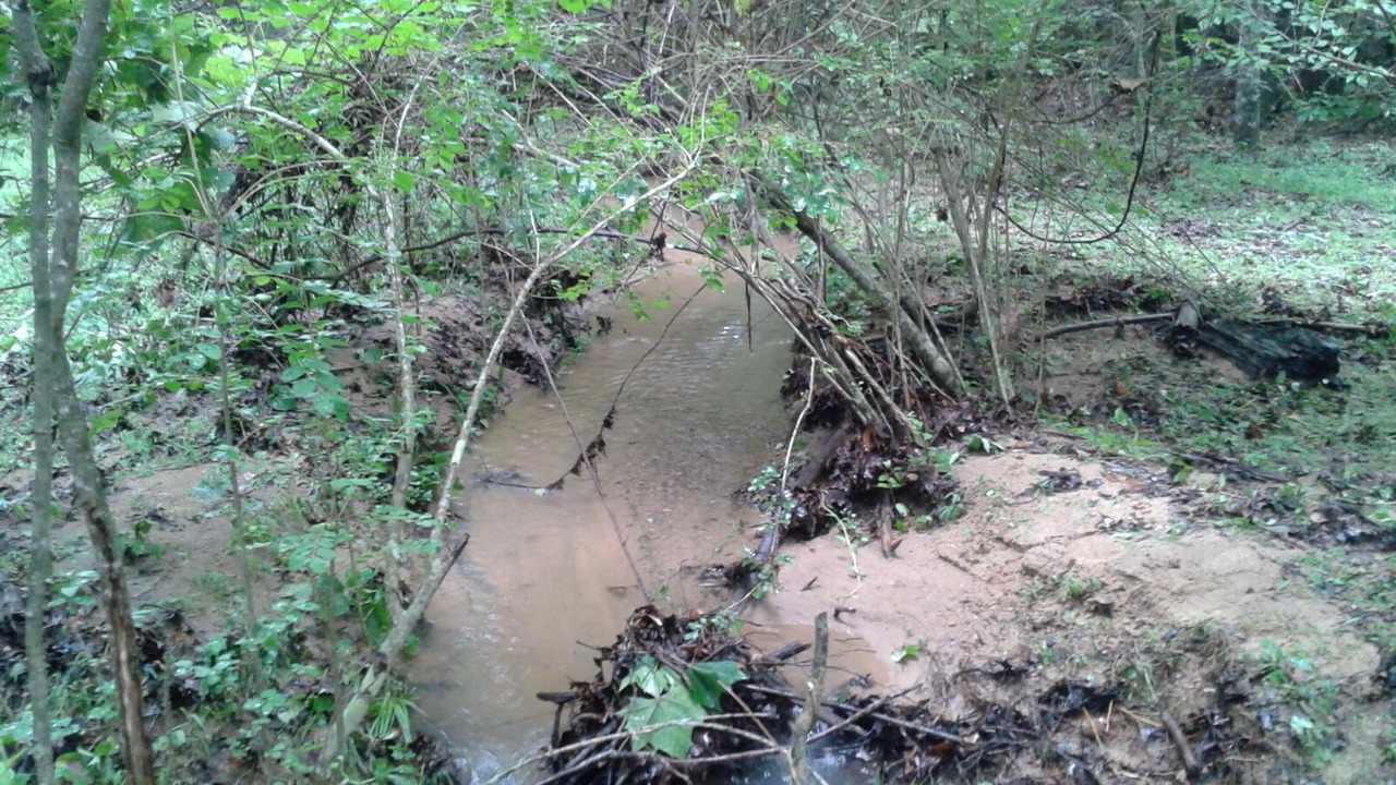Photo of Others in Rutherfordton