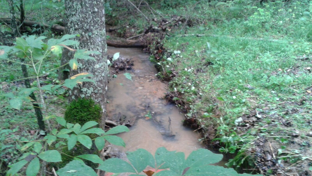 Photo of Others in Rutherfordton