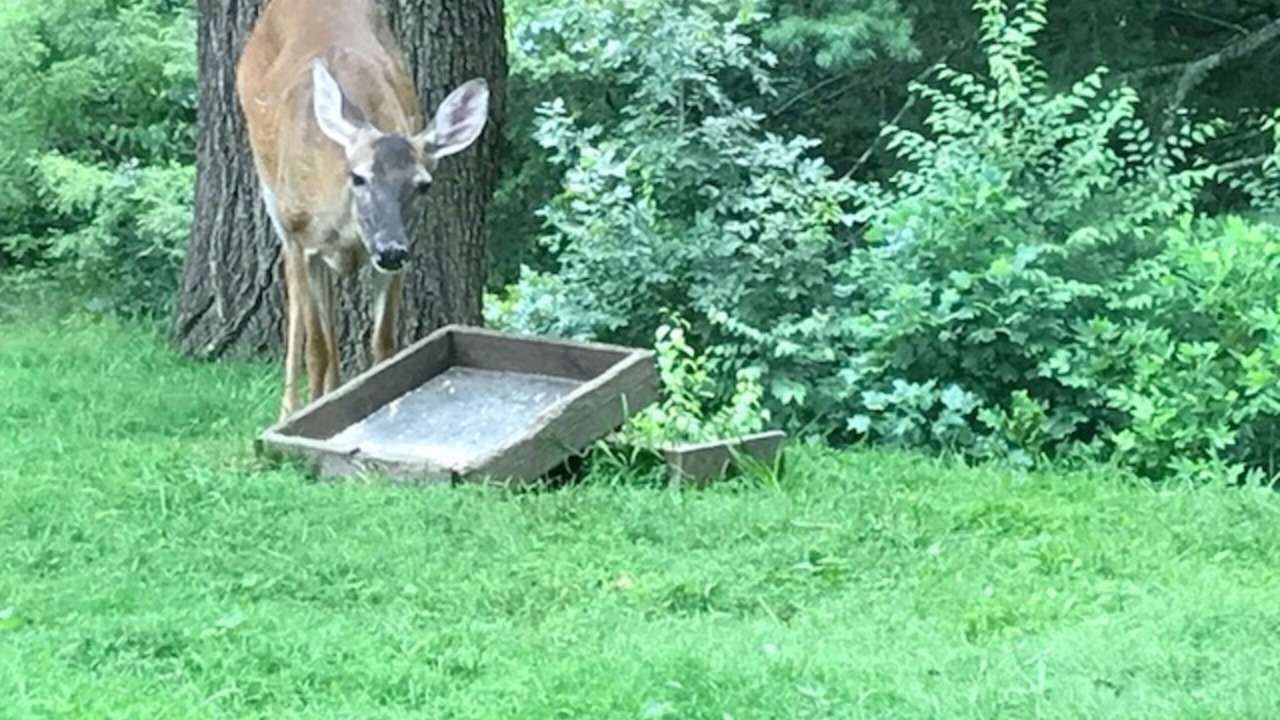 Photo of Outdoor in Gerton