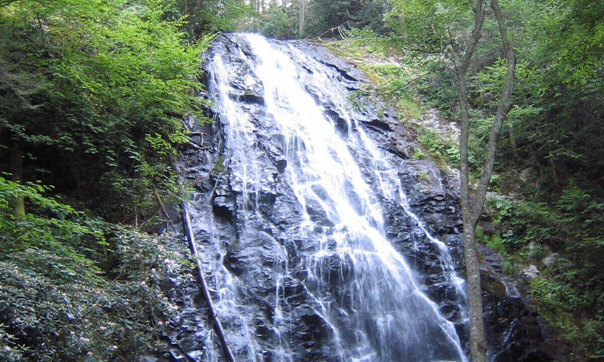 Photo of Others in Spruce Pine