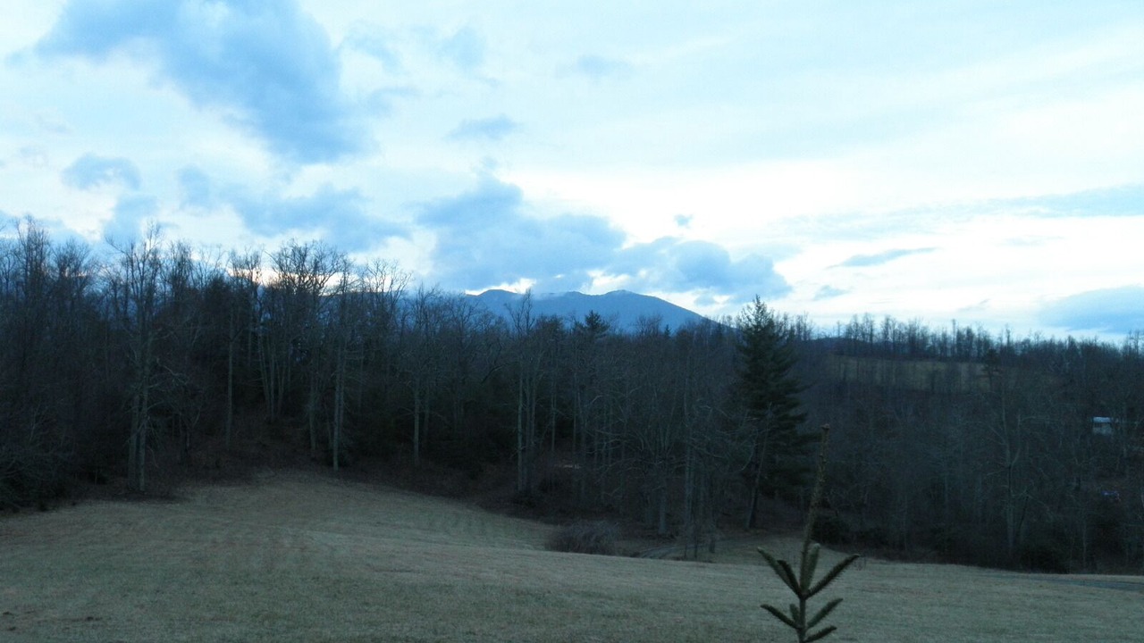 Photo of Others in Spruce Pine