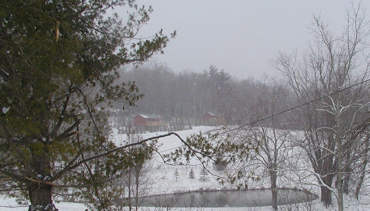 Photo of Others in Spruce Pine