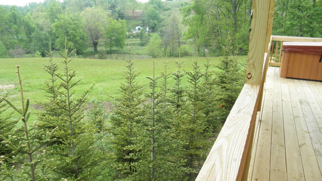 Photo of Others in Spruce Pine