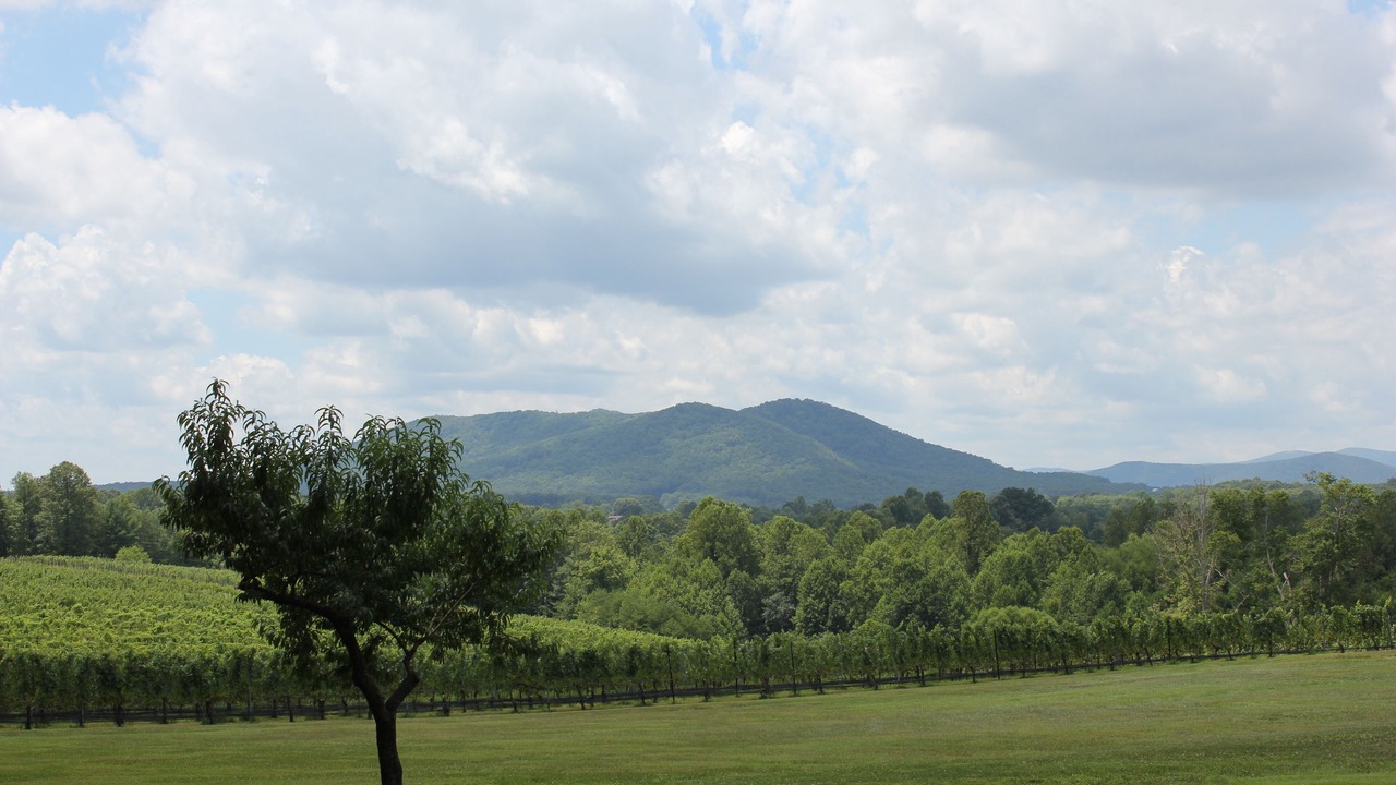 Photo of Outdoor in Mount Airy