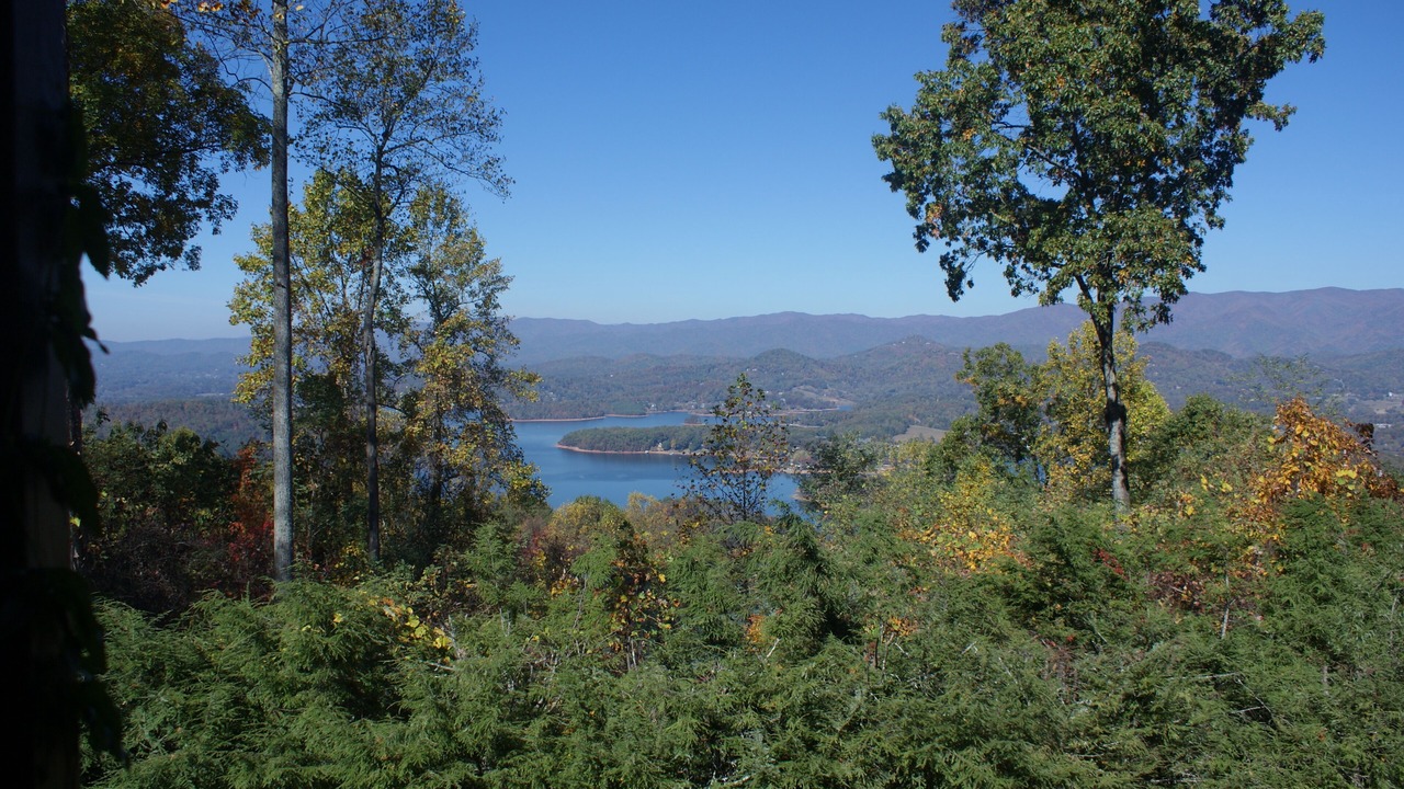 Photo of Others in Eagles View