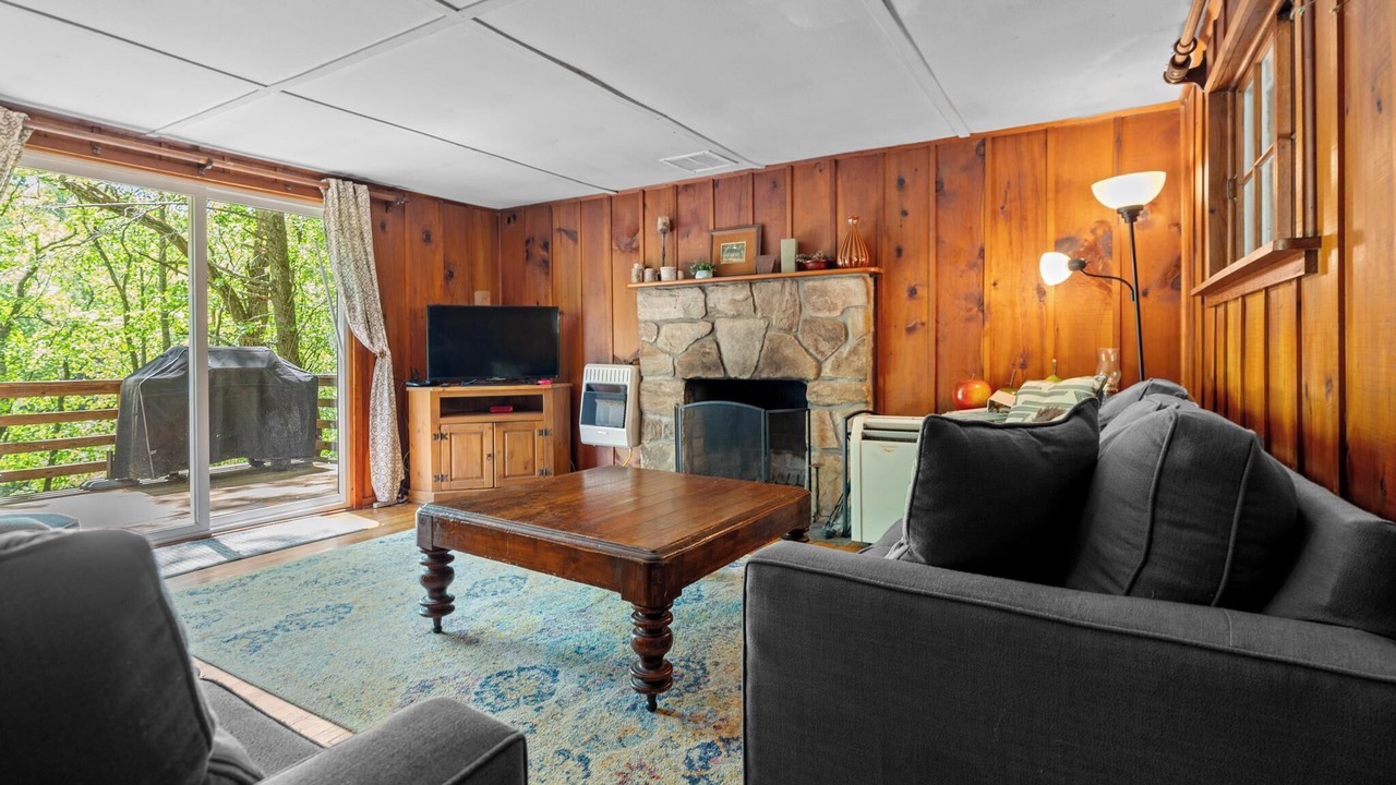 Photo of Livingroom in Scaly Mountain