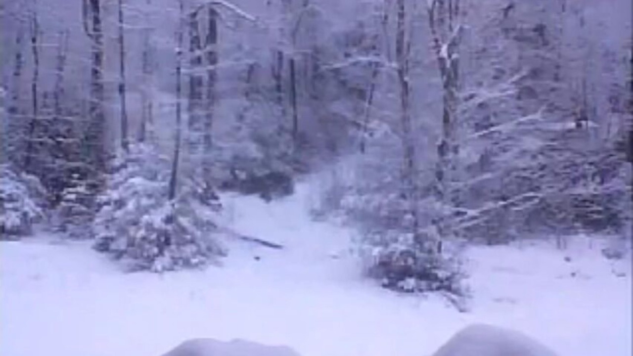 Photo of Others in Burnsville
