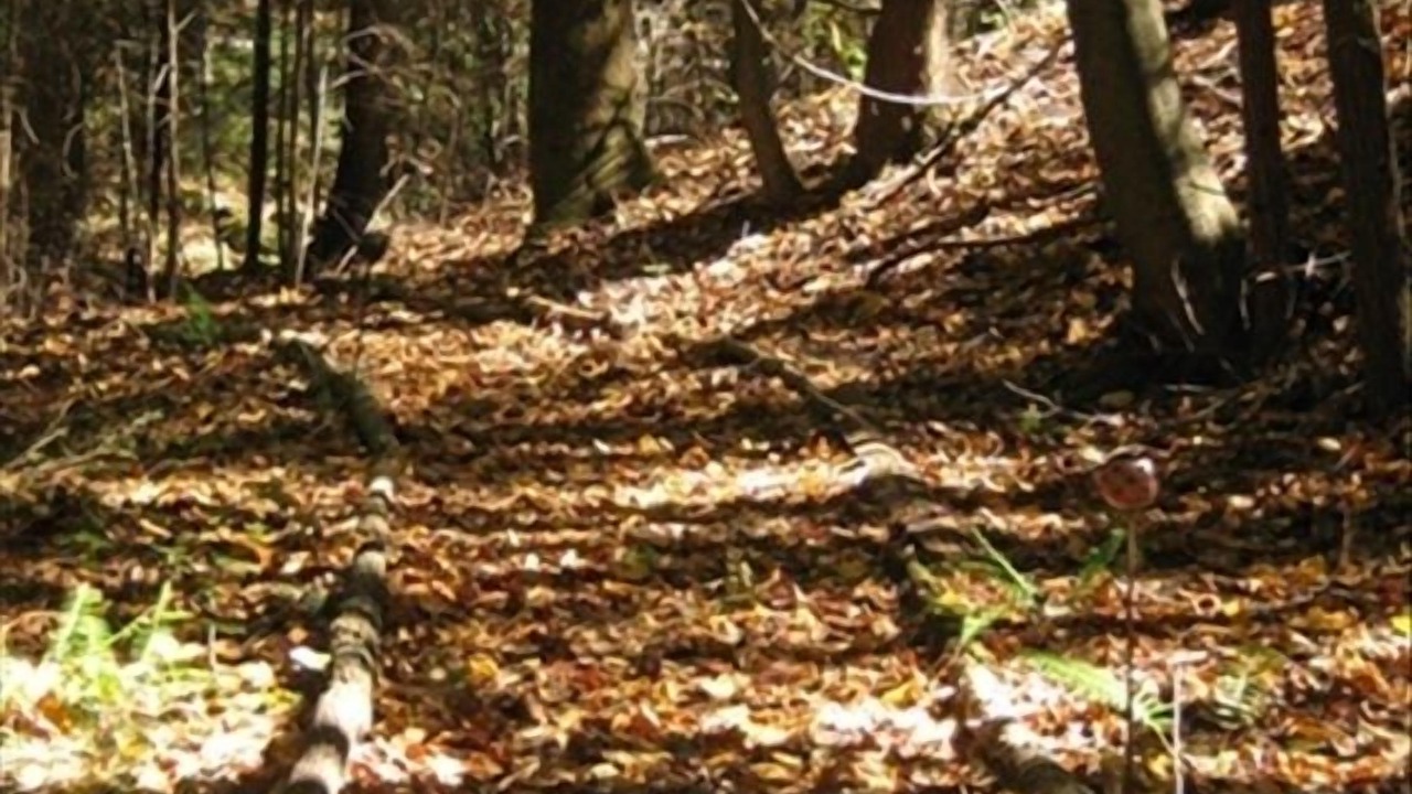 Photo of Others in Marion