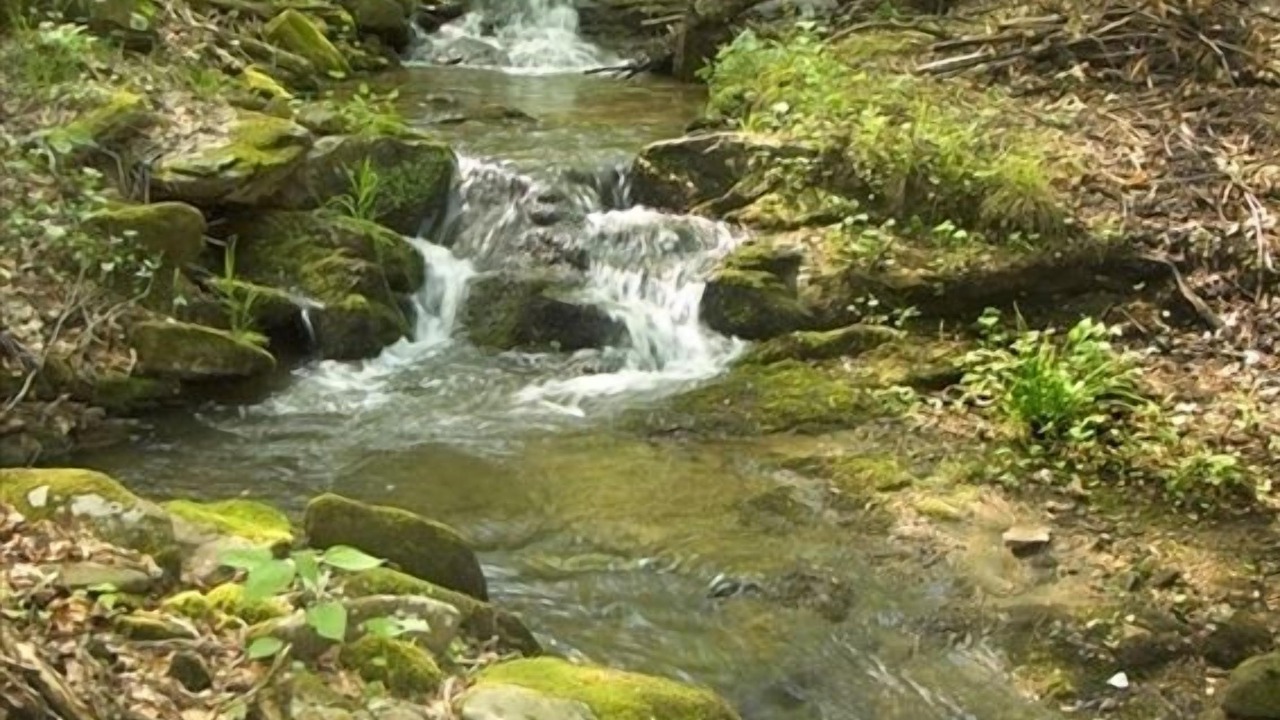Photo of Others in Marion