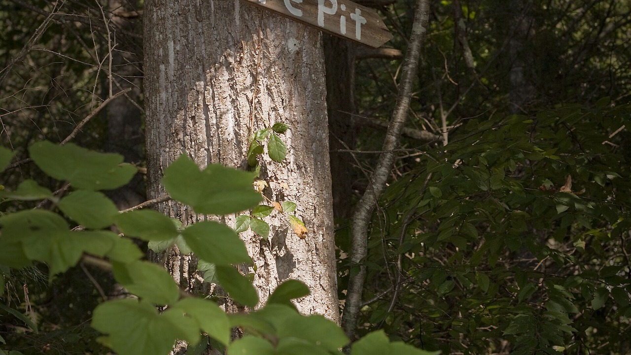 Photo of Others in Marion