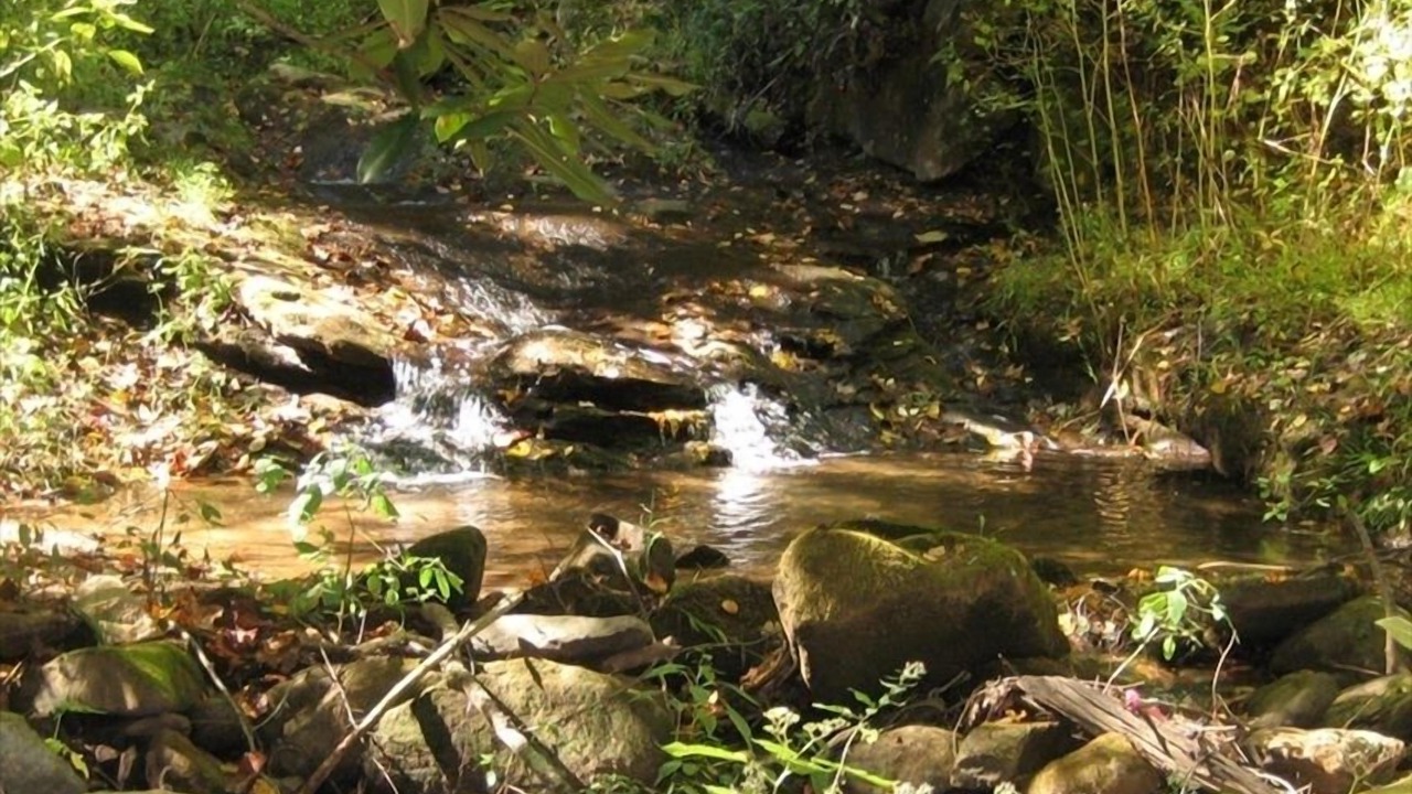 Photo of Others in Marion