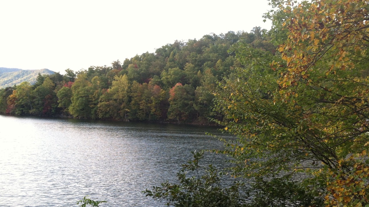 Photo of Outdoor in Santeetlah
