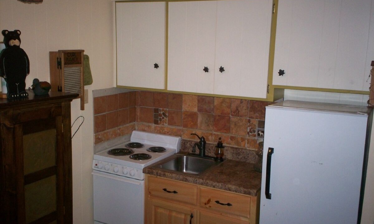 Photo of Kitchen in Santeetlah
