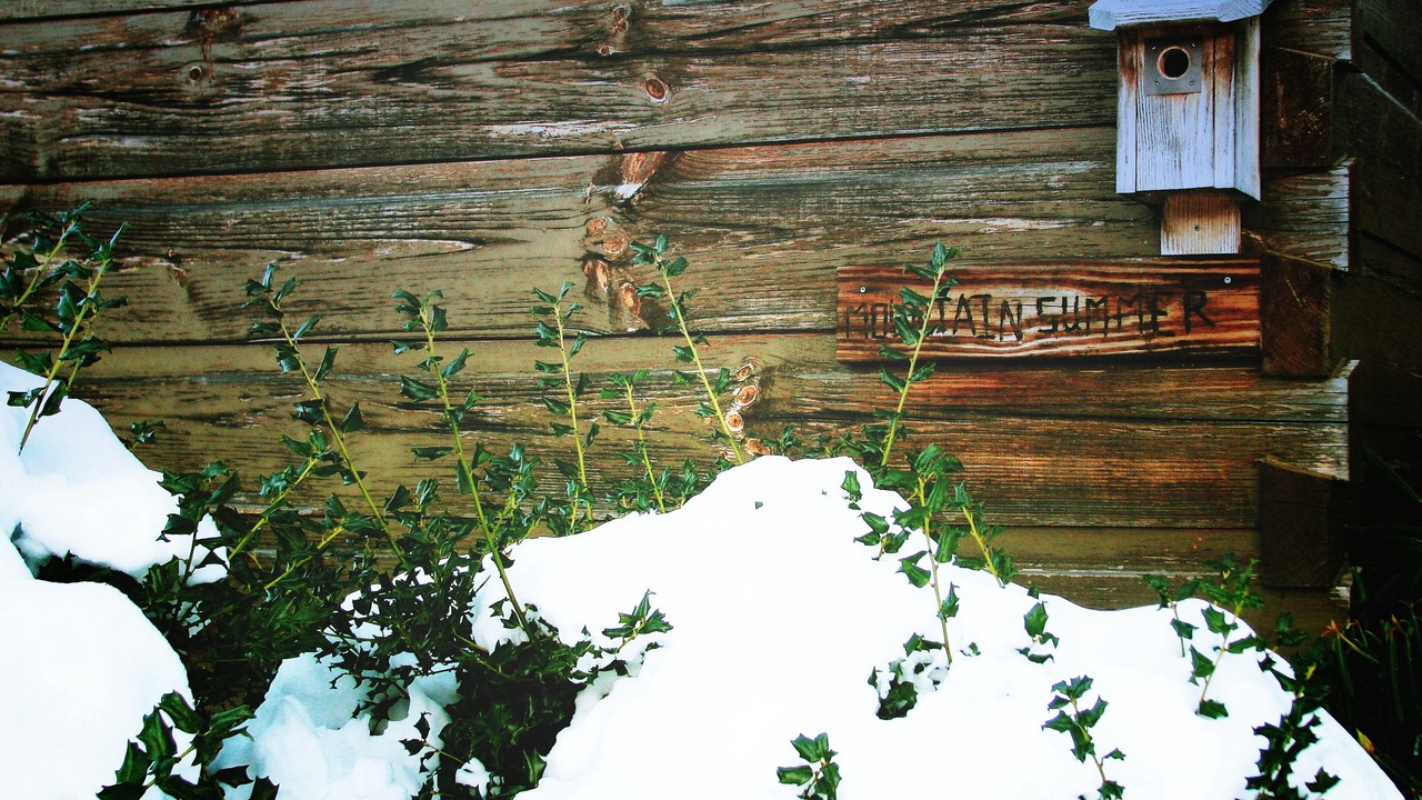 Photo of Outdoor in Altamont