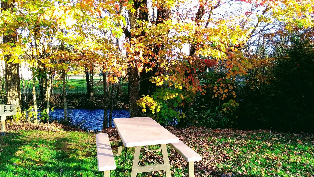 Photo of Outdoor in Altamont