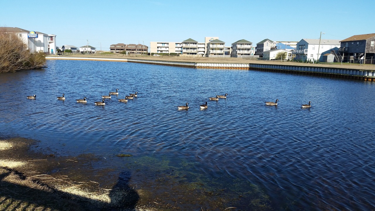 Photo of Others in Kill Devil Hills