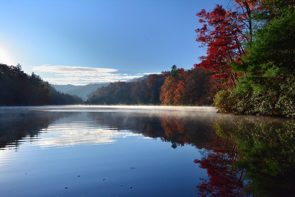 Photo of Others in Tuckasegee