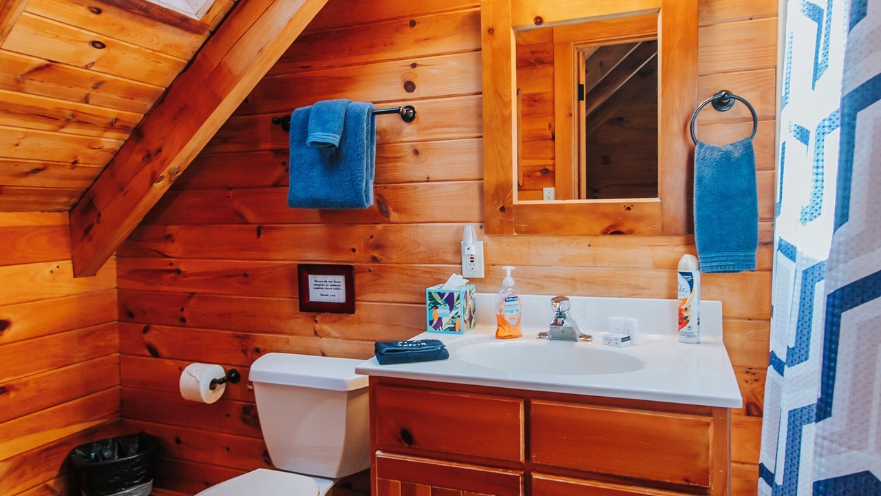 Photo of Bathroom in Tuckasegee