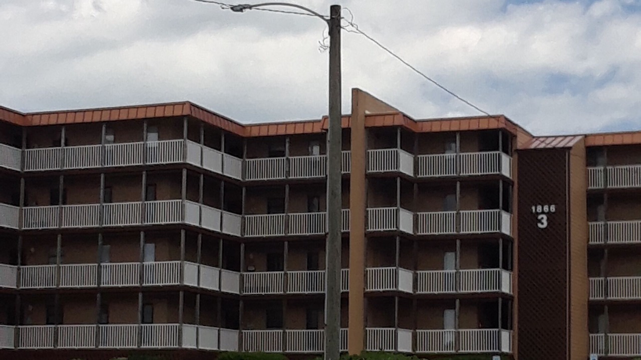 Photo of Outdoor in Sneads Ferry