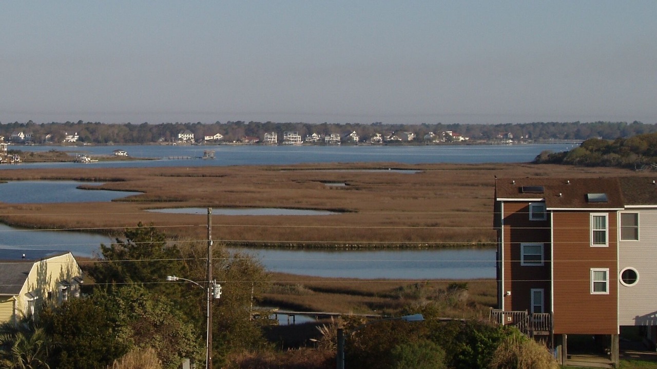 Photo of Others in Sneads Ferry