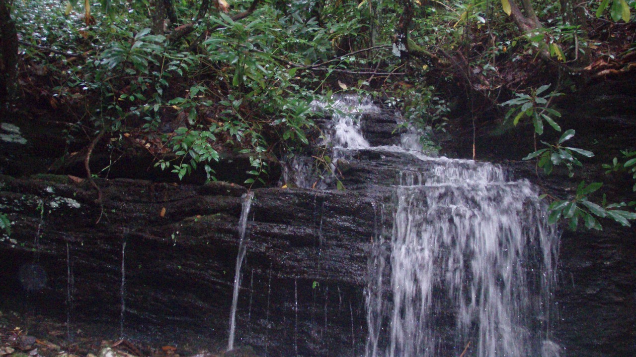 Photo of Others in Lake Toxaway